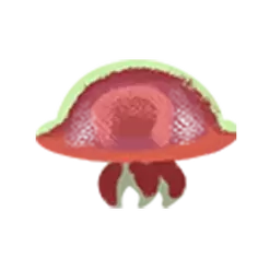 icon 5