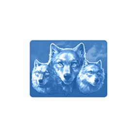 Bonus Buy CALL OF THE WILD