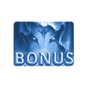Bonus Buy Bonus