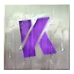 icon 10