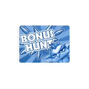 Bonus Buy Bonus Hunt