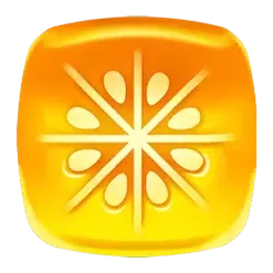 icon 2