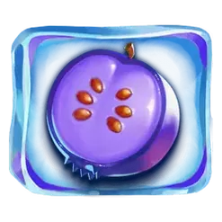 icon 5