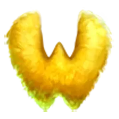icon 9
