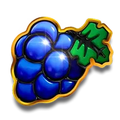 icon 5