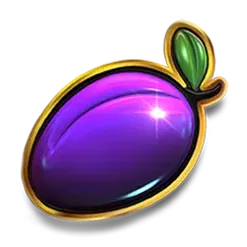 icon 5