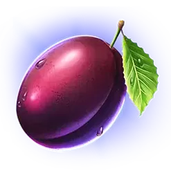 icon 5