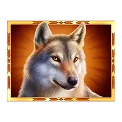 icon 4