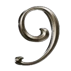 icon 13