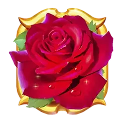 icon 3