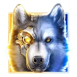 icon 1