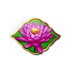 icon 4