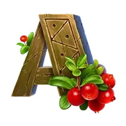 icon 9