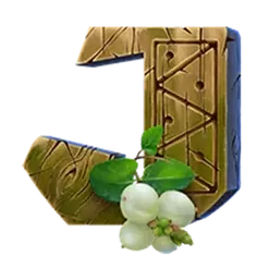 icon 12