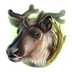 icon 4