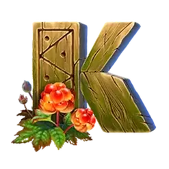 icon 10