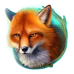 icon 6