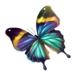 icon 4
