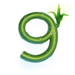 icon 12
