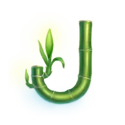 icon 10