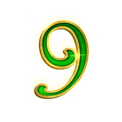 icon 13