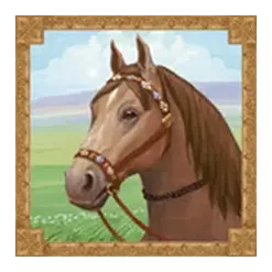 icon 5