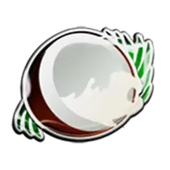 icon 4