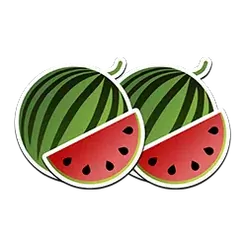 icon 4