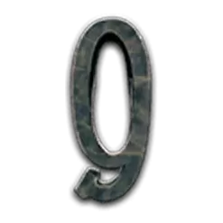 icon 13