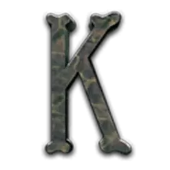 icon 9