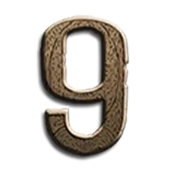 icon 13