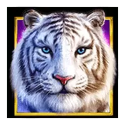 icon 2