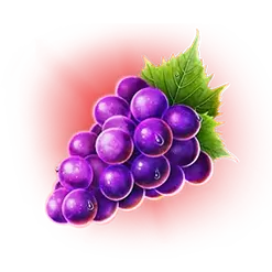 icon 4