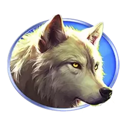 icon 4