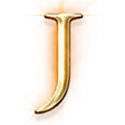 icon 9