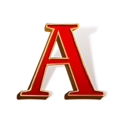 icon 5