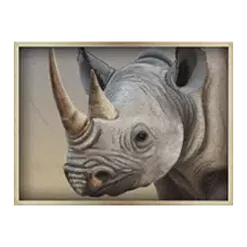 icon 5