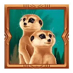 icon 4