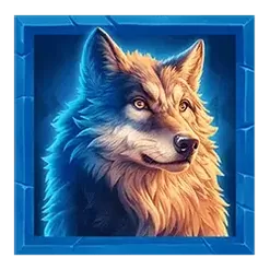 icon 4