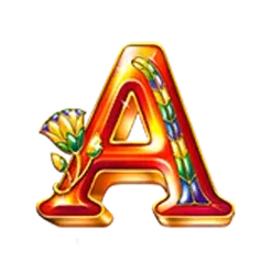 icon 6