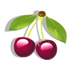 icon 6