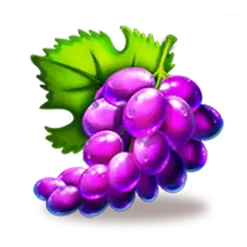 icon 4