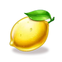 icon 6
