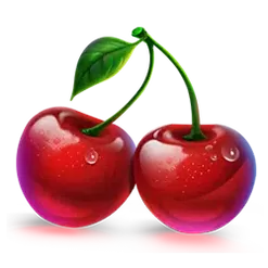 icon 9