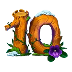 icon 10