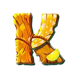 icon 9