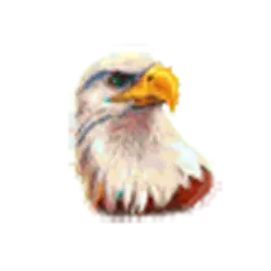 icon 2