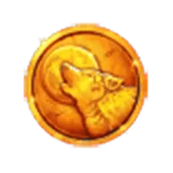 icon 13