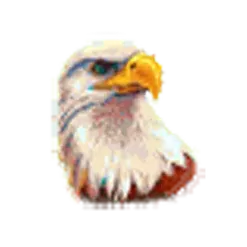 icon 2