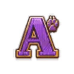 icon 5